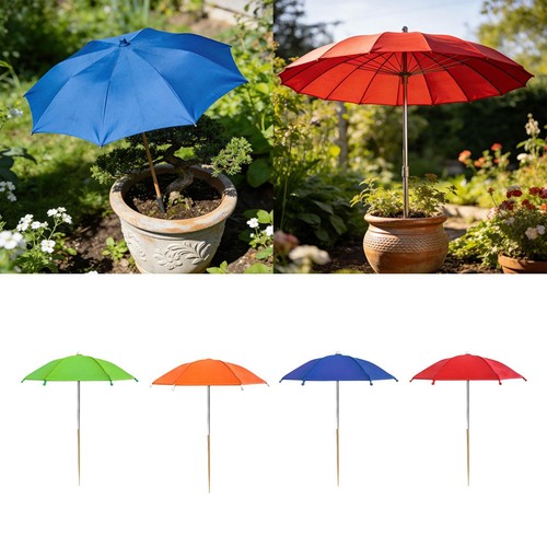 Plant shade umbrella patio - plant,