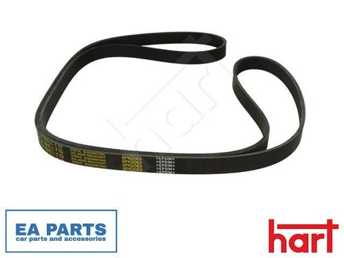 Ribbed belt for - v-ribbed, vw