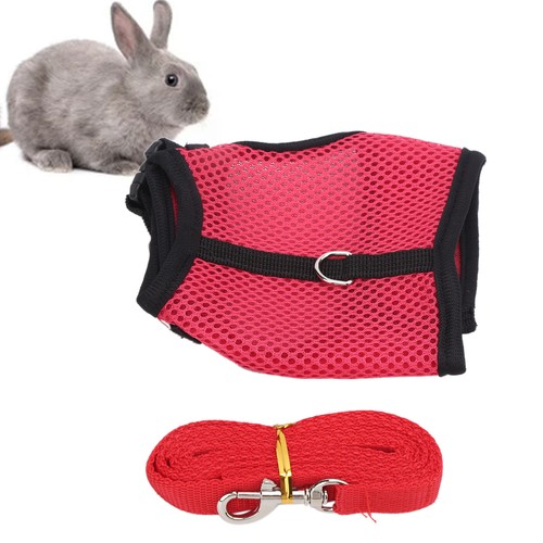 Vest harness walking - harness,