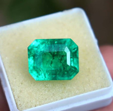 AAA+ Green Emerald 8.80 Ct Colombia Certified Loose Gemstone Natural emerald Cut