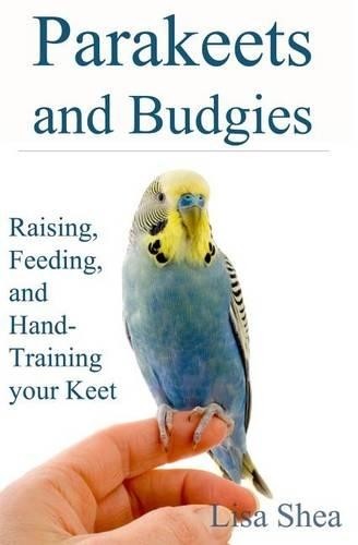 Parakeets and budgies - parakeets,