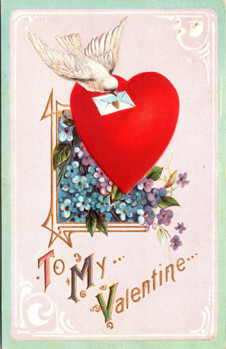 Valentine white dove - to,