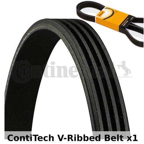 Contitech ribbed belt - v-ribbed,