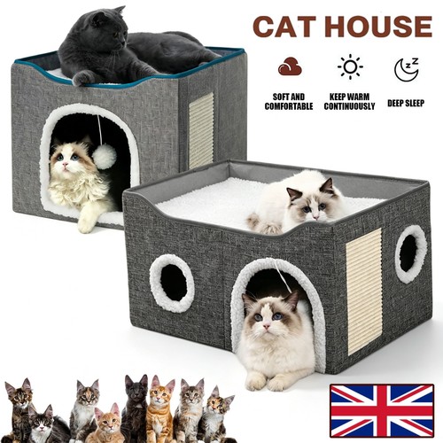 Large cat house - cat, indoor