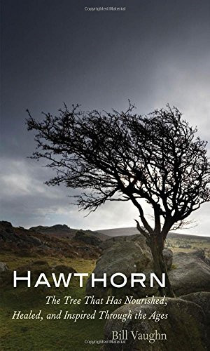 Hawthorn the tree that - the, has