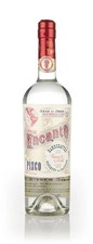 Campo de Encanto Plain Pisco
