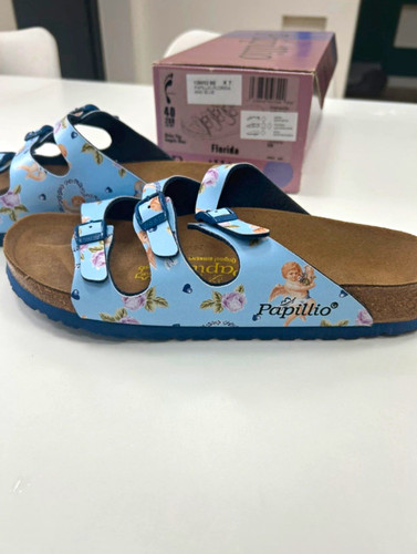 Rare vintage papillio - papillio, florida
