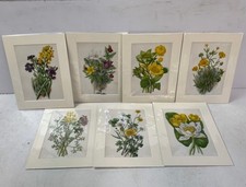 7x Oka Botanical Floral Prints