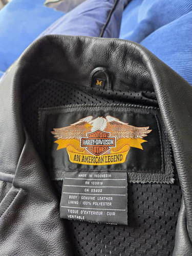 Harley davidson brand - harley-davidson,