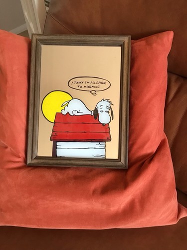 Snoopy mirror this - mirror-, will