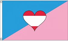 Age Play Polyester 5'x3' Flag