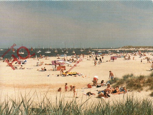 Picture postcard studland - picture, postcard~