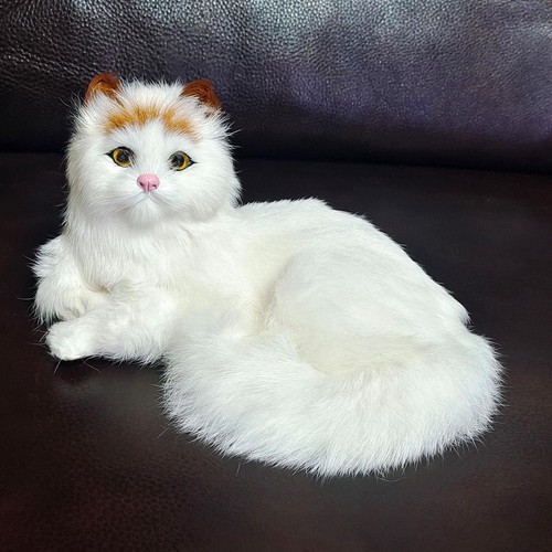Realistic persian cat animals - persian,