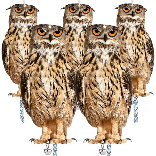 5pcs owl bird - 5pcs, set