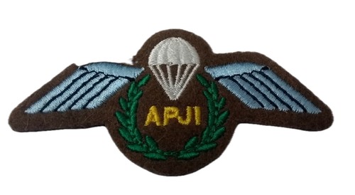 British army patch - army,