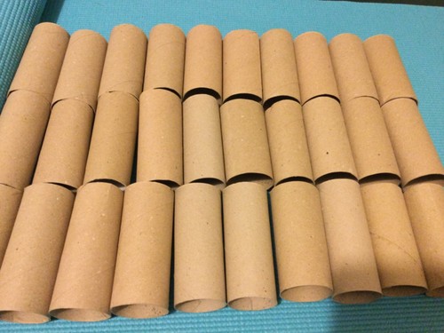 Empty toilet roll - toilet, tubes