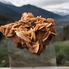 Deserts Rose Brown Gypsum Disk like Crystals Silica Sand 1 Large Solid Piece