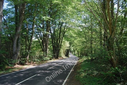 Photo 6x4 b2131 linchmere - 6x4,