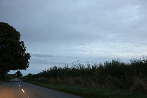 Photo 6x4 purley - 6x4, road