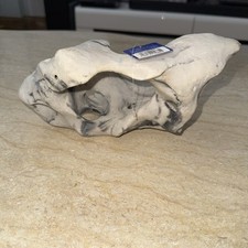 Aquarium Pets at home Fish