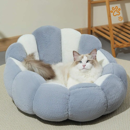 Cat kennel pet - kennel, nest