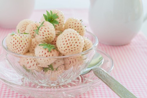 Strawberry pineberry plug - strawberry,