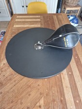 Gold's Gym Punch Bag For