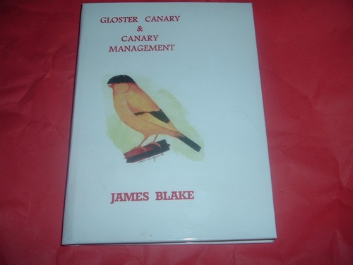 Gloster canary - , &canary