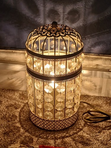 Table lamp bird cage - table,