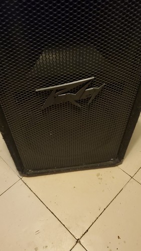 Peavey pv112 inch - 12",