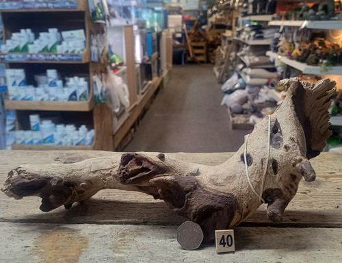 Small medium mopani wood - small/medium,