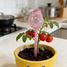6pcs plant feeders - plant,