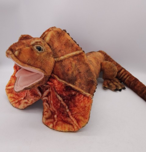 Frilled neck lizard dragon - frilled,