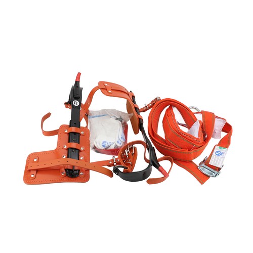 Tree climbing gear - tree,