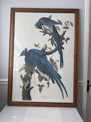 Large framed john james - large,