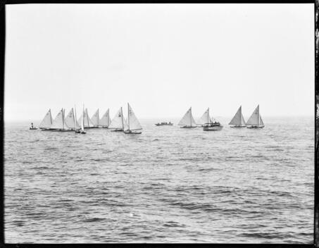 Row single masted - row, sailboats