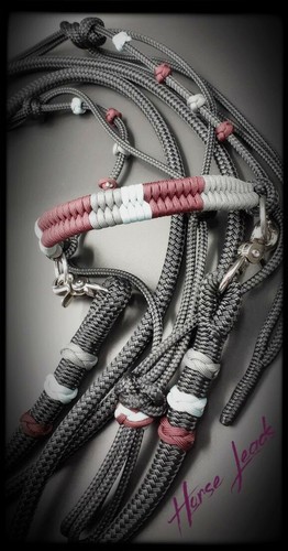 Bitless bridle and - bridle, high