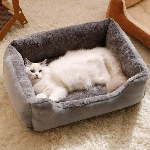 Cat bed pet - cat, winter