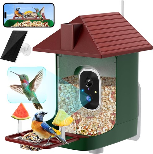 Smart bird feeder - smart,