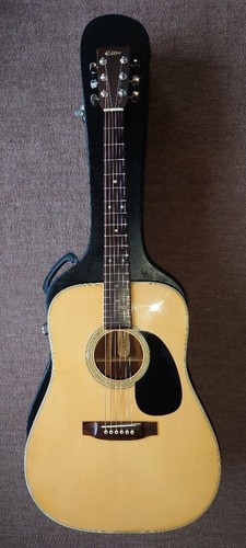 Takamine elite vintage - takamine,