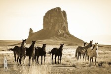 Wild Horse Art, Sepia Prints