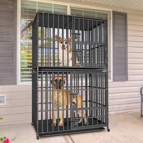 Extra large heavy duty - large, dog