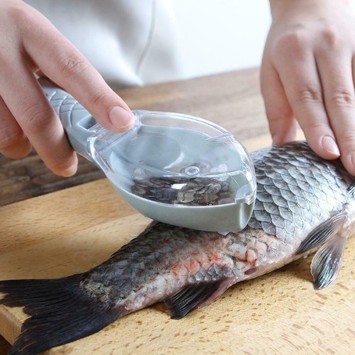 Fish descaler scale - fish,