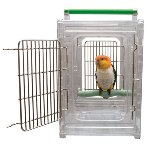 Perch and acrylic parrot - and, go