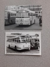 Maidstone & District-Leyland Royal Tiger, Reg Nos:OKO27 & PKE272,Photographs x2