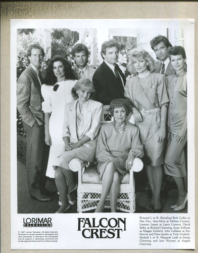 Group photo falcon - group, photo: