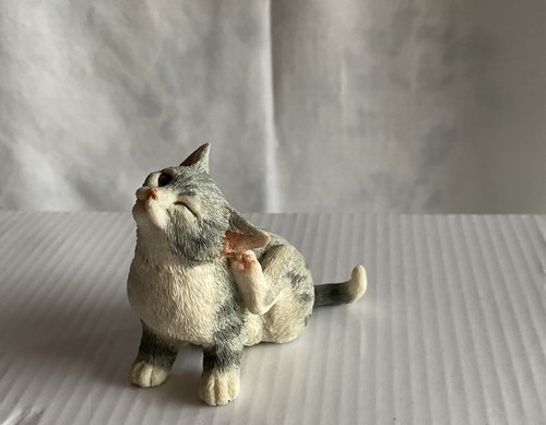 Silver grey and white cat - and,