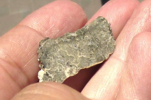Lunar meteorite nea 083 - lunar,