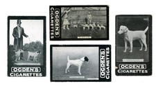 FOX TERRIER SMOOTH Dog Vintage