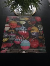 Canon EOS 250D DSLR Twin Lens Kit Boxed + Tripod, backpack & Extra 300mm lens 